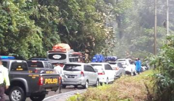 Pohon Tumbang Akibatkan Kemacetan Panjang Jalur Mudik Sumbar-Sumut di Pasaman