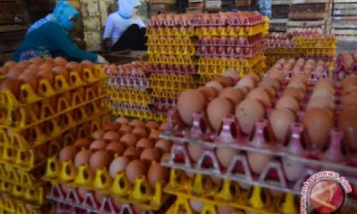 Naiknya harga telur ayam di Padang, ini alasan Disperindag Sumbar
