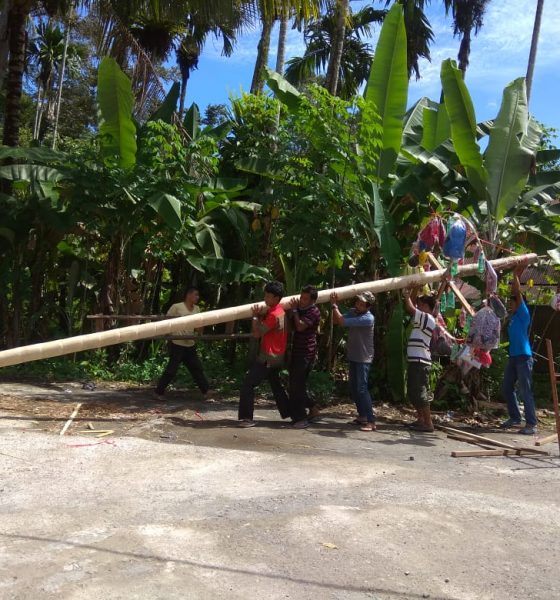 Panjat Pinang Bagomok Meriahkan HUT RI Ke 73 Di Korong Sijangek
