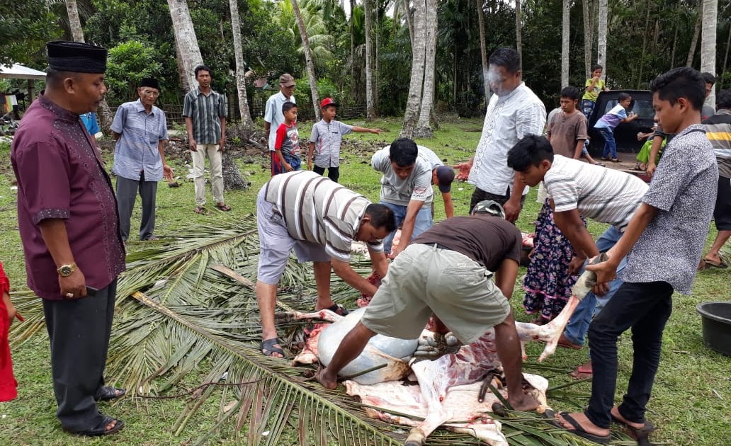 Doa Bersama Sepurnakan Kurban Jamaah Mushalla Nur Iman Simpang Pulau Puduang