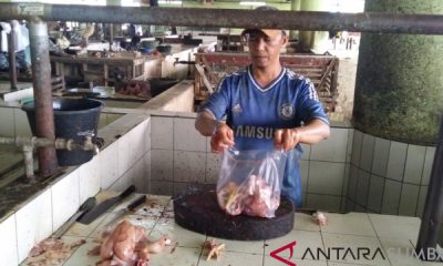 Inflasi Sumbar kedua tertinggi di Sumatera, BI: disumbang kelompok pangan bergejolak