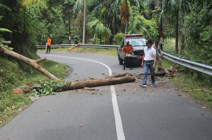 Camat Tanjung Raya Bersama BPBD Minimalisir Gangguan Bencana Bagi pengendara