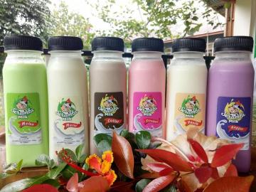 Susu Serambi Milk Padang Panjang Kantongi Izin Edar dari BPOM RI