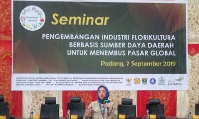 Ekspor tanaman hias Indonesia menjanjikan ke depan