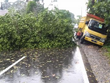 Hujan Deras dan Angin Kencang, Rumah Warga Rusak, Akses Jalan tertutup Pohon Tumbang