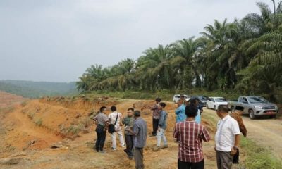 Sijunjung dan Tim PSR Sumbar Lakukan Studi Komparatif Replanting Sawit ke Dharmasraya