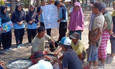Siswa SMK N 2 Painan belajar ekosistem laut melalui Sekolah Pantai Indonesia