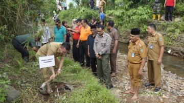 Pelihara DAS, Ribuan Pohon Bambu Ditanam di Nagari Simpang Kabupaten Pasaman