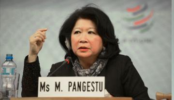 Mari Elka Pangestu, Srikandi ke Dua Indonesia yang Jadi Direktur Bank Dunia