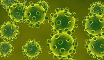 Apa Itu Virus Corona Wuhan, Bagaimana Cara Agar Tak Terjangkit?