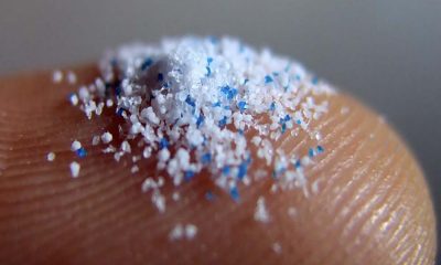 Bumerang Microplastic Di Masa Pandemi – Beritasumbar.com