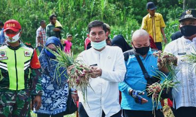 Pemerintah Desa Kubang Tangah Bantu Masyarakat Kelola Lahan Pertanian – Beritasumbar.com