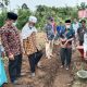 Yayasan Fisabilillah Bangun Surau Di Nagari Tandikek – Beritasumbar.com