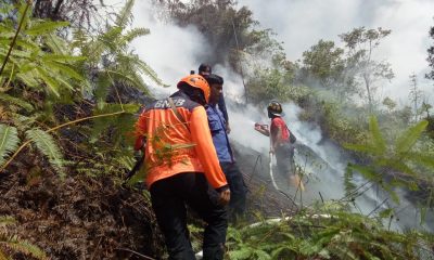 Kawasan Lembah Harau Kembali Terbakar, Diduga Pelaku Kemah Lupa Matikan Api Unggun – Beritasumbar.com