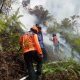 Kawasan Lembah Harau Kembali Terbakar, Diduga Pelaku Kemah Lupa Matikan Api Unggun – Beritasumbar.com