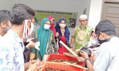 Tim PKM Biologi Unand dan BaSE KMDM Gelar Kerja Sama Pelatihan Budidaya Maggot BSF – Beritasumbar.com