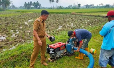 Erwin Yunaz Menyatu Bersama Petani Bagi Semangat Bertani – Beritasumbar.com